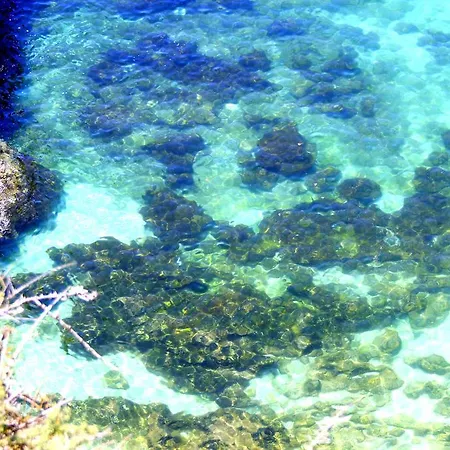 Διαμέρισμα Refugio Zen Portimão